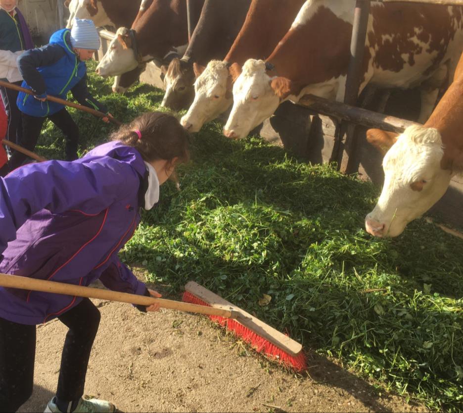 tl_files/fM_k0002/Bilder fuer Klassenhighlights/2. Klasse/Homepage Biohof (2).jpg