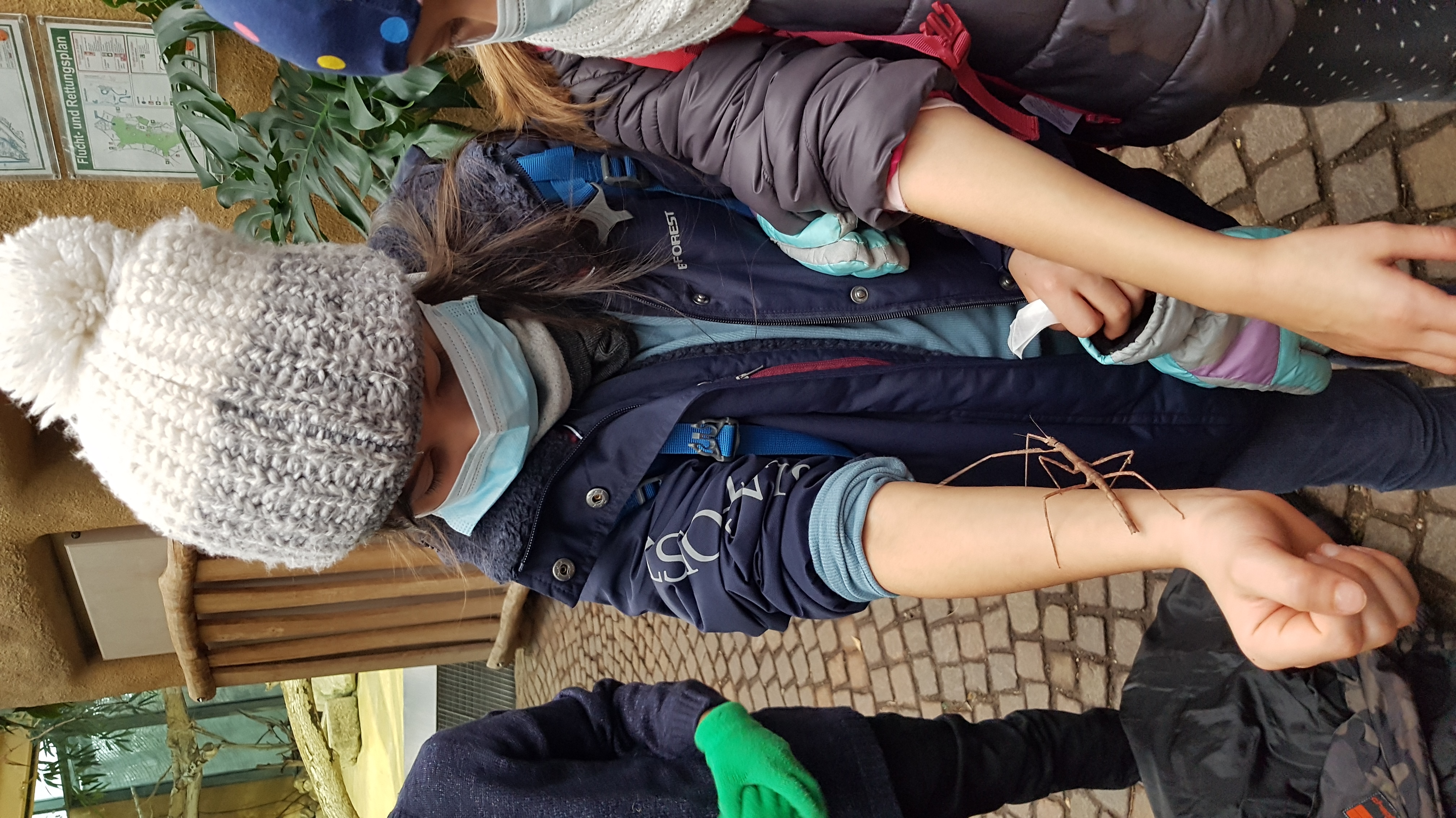 tl_files/fM_k0002/Bilder fuer Klassenhighlights/3. Klasse/20220110_115827.jpg